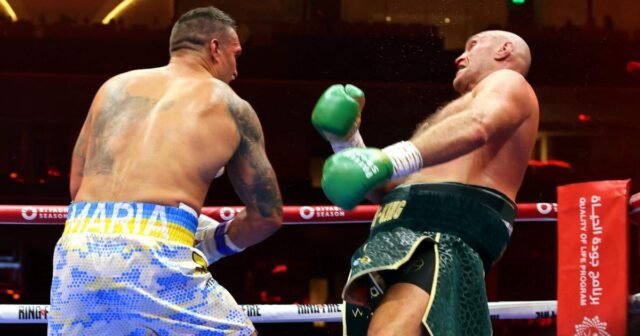 Lo más destacado en la división de peso pesado: técnica versus poder de combate
