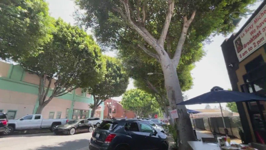 Los árboles de Ficus bordean Greenleaf Avenue en Uptown Whittier, un distrito lleno de tiendas y restaurantes familiares. (KTLA)