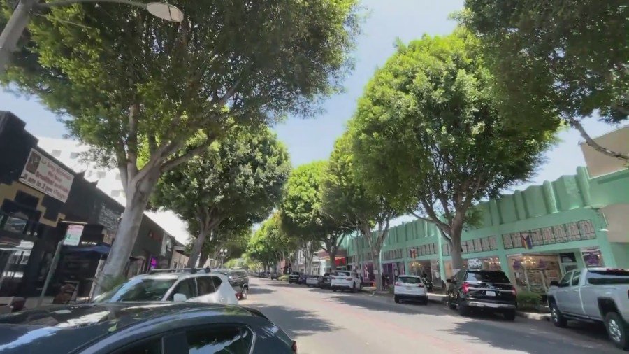 Los árboles de Ficus se alinean en Greenleaf Avenue en Uptown Whittier. (KTLA)