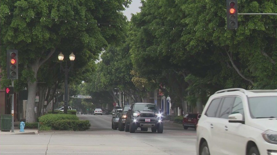 Grandes ficus bordean Greenleaf Avenue en Uptown Whittier. (KTLA)
