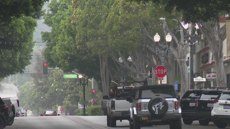 Grandes ficus bordean Greenleaf Avenue en Uptown Whittier. (KTLA)