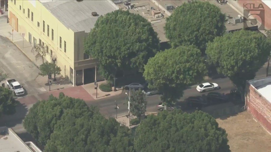 Una vista aérea Sky5 de los ficus en Uptown Whittier. (KTLA)