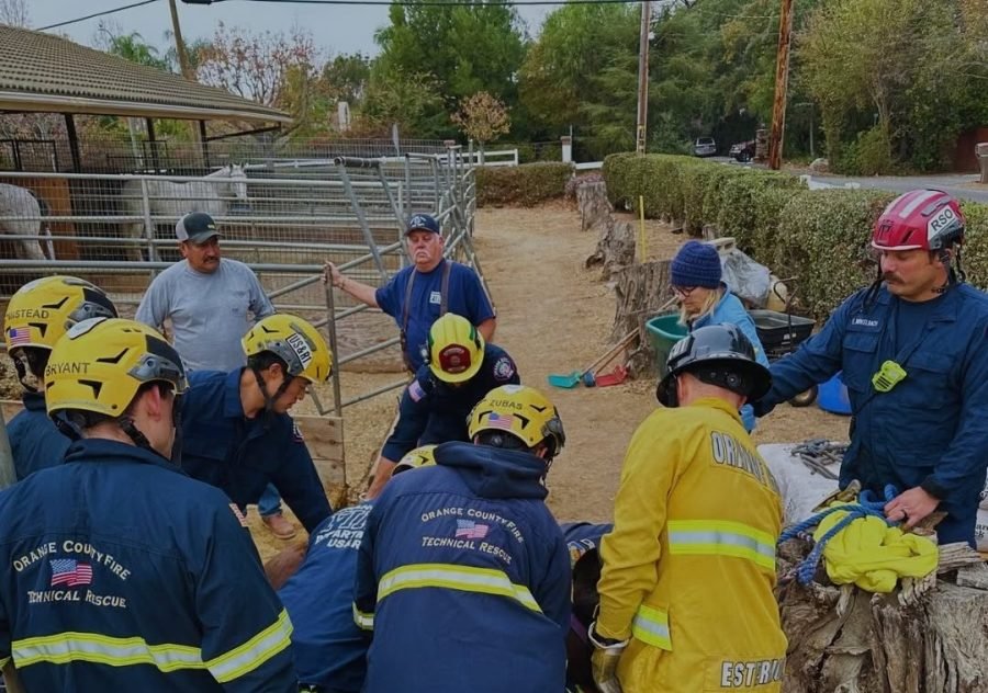 Los equipos del Departamento de Bomberos de Orange City trabajaron para rescatar a un caballo que quedó atrapado debajo de una cerca el 23 de diciembre de 2024. (Departamento de Bomberos de Orange City)