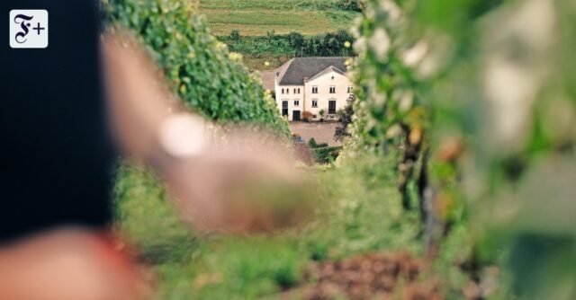 Ruwer: el mejor vino espumoso de la bodega Karthäuserhof
