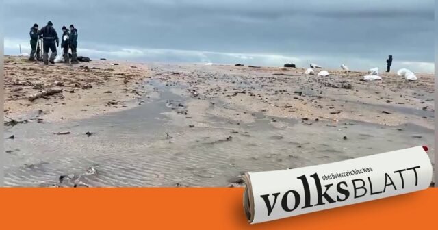 Crimea declara estado de emergencia debido a un derrame de petróleo
