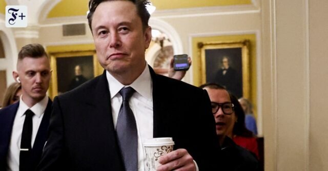 Elon Musk hace publicidad de AfD en “WamS”.
