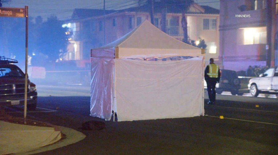 Un sospechoso de atropello y fuga sigue prófugo después de que un peatón fuera atropellado y asesinado en Reseda el 27 de diciembre de 2024. (KNN)