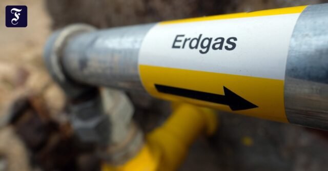 Alemania: el consumo de gas aumentó en 2024
