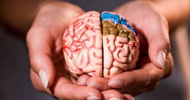 Cómo proteger el cerebro del rápido envejecimiento
