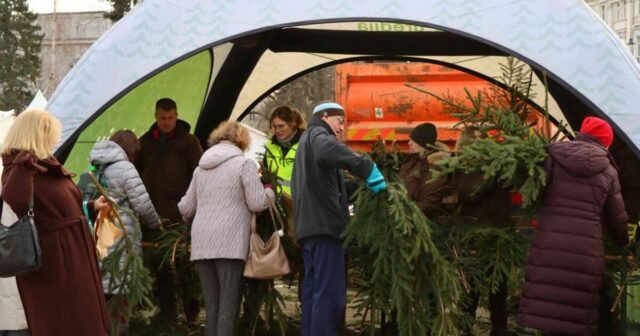 "Trae la Navidad a tu casa": en toda Lituania, miles de casas de residentes fueron decoradas con ramas de abeto
