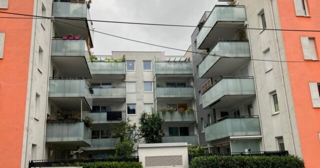 Mujer murió tras ser golpeada: ahora encuentran muerto al sospechoso
